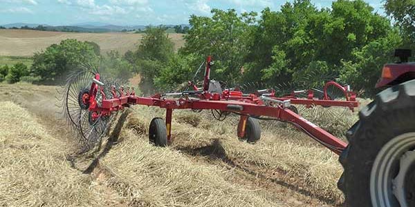 Hay/Mowing